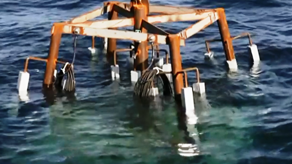 AE2 “Silent Anzac”: protecting a WWI submarine war grave 4